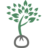 Упаковывание и транспортировка, которые осуществляются максимально аккуратно, с возможной обрезкой некоторых ветвей, укладыванием в кузов на специальный мягкий материал и надёжной фиксацией