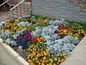 Благоустройство многоквартирный дом УК "Ленинского района"