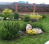 Озеленение частных домов